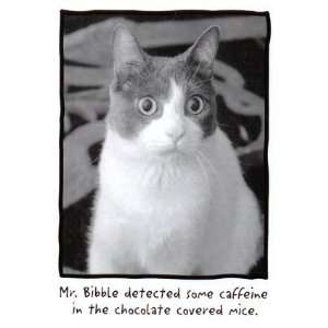  Mr. Bibble, Cats & Kittens Magnet, 2.5x3.5
