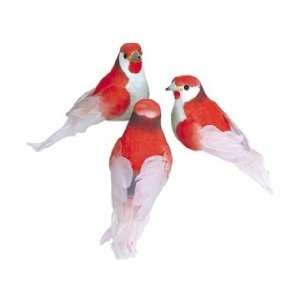   Floral and Garden Accents Medium Bird Thrush 3 3/4 Feather Red/White