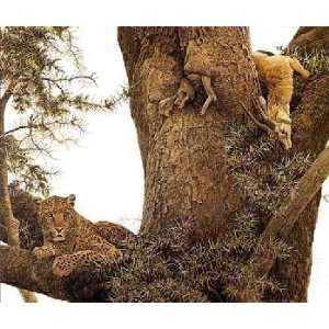 Robert Bateman   Leopard and Thomson Gazelle Kill 