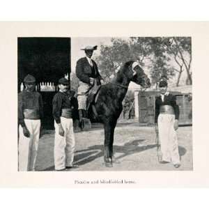  1902 Halftone Print Picador Blindfolded Horse Costume 