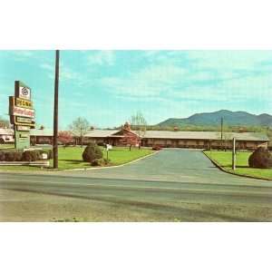 Vintage Advertizing Post Card; The Regina Motor Lodge, Salem, VA, All 