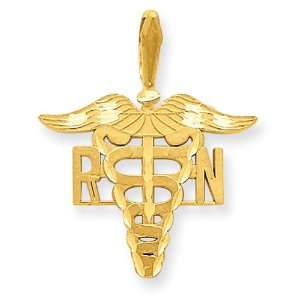  14k Gold Registered Nurse Charm Jewelry
