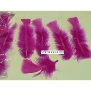   Dark Pink Turkey Feathers 75/100 Pcs. 3 5 Long Patio, Lawn & Garden