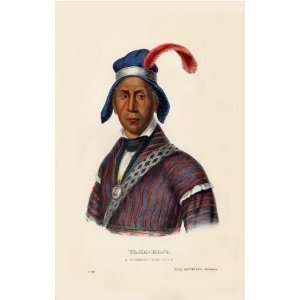   Seminole War Chief McKenney Hall Indian Print 13 x 19 inch Fine Art
