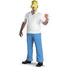 homer costume  