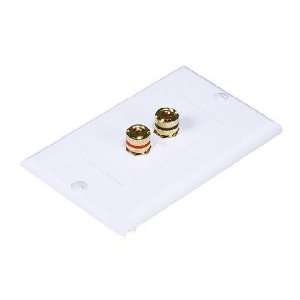   SPEAKER WIRE WALL PLATE FOR SURROUND SOUND HOME AUDIO Electronics