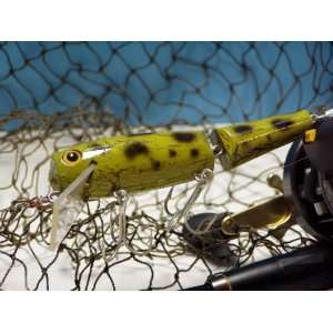   Bait Co. Musky Minnow   Crackle Frog   Muskie Lure