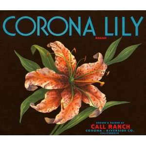  CORONA LILY CALL RANCH CALIFORNIA USA CRATE LABEL PRINT 