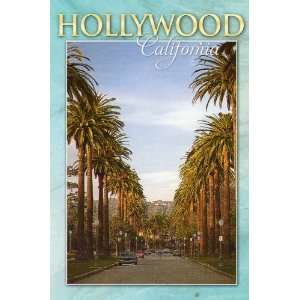   POST CARD LAC 1236 BEAUTIFUL PALM LINED HOLLYWOOD STREET   From