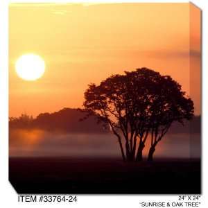  All Weather Art Sunrise & Oak Tree Print