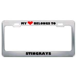 My Heart Belongs To Stingrays Animals Metal License Plate Frame Holder 