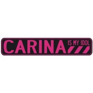   CARINA IS MY IDOL  STREET SIGN
