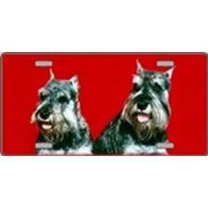 Schnauzer Dog Pet Novelty License Plates Full Color Photography 