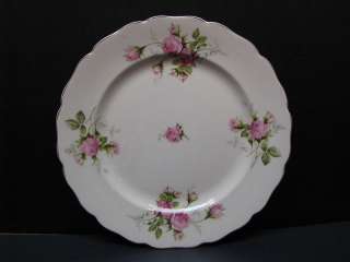 Canonsburg Pottery China Moss Rose Dinner Plate   10  