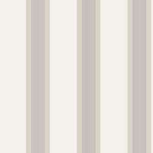  Radnor   Pale Grey Indoor Wallcovering 