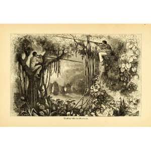  1875 Lithograph Hunting Blow Gun  Jungle South 