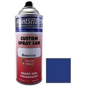  12.5 Oz. Spray Can of Chalet Blue Poly Touch Up Paint for 