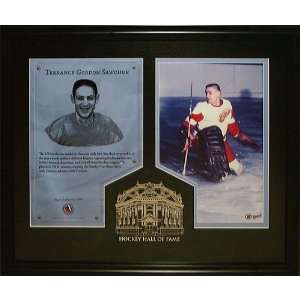  Frameworth Detroit Red Wings Terry Sawchuk Hall of Fame 