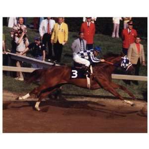  Secretariat 1973 Preakness Stakes #114 by Unknown 10.00X8 
