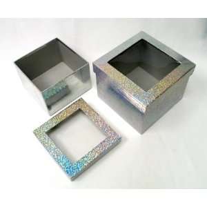 Clearview Lid Box  Silver / 2 pc. Set 
