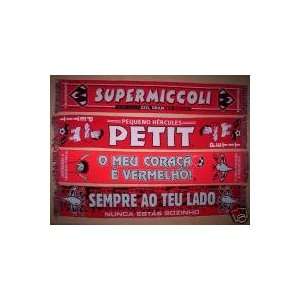  PETIT MICCOLI 54 x 9 Inch SL BENFICA SOCCER SCARF Football 