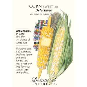   Delectable Corn Seeds   8 grams   Zea mays Patio, Lawn & Garden