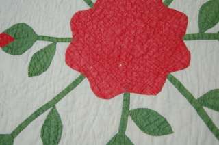 PRE CIVIL WAR Red & Green Floral Applique Antique Quilt STUFFED 