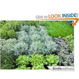 All Things Herbal   Herb Gardens, Uses For Herbs Brenda Van Niekerk 