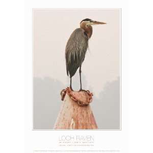  Loch Raven Poster, 13x19 Silent Sentry  while 