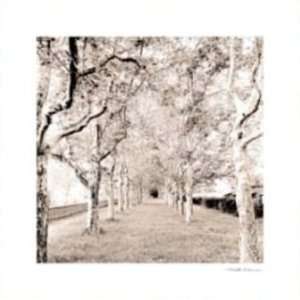  Harold Silverman Tunnel of Trees 16x16 Poster Print
