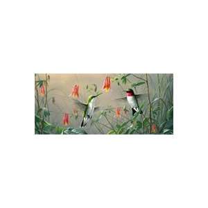  Hummingbird Colombines Rear Window Graphic Automotive