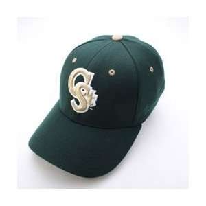  Colorado State Rams Wordmark Logo Flex Fit Hat (Green 
