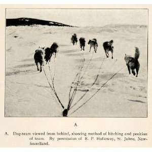  1916 Halftone Print Dog Team Husky Iditarod Sled Sleigh 