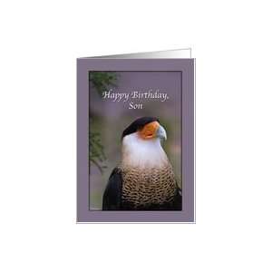   Sons Birthday Card with Crested Caracara Card Toys & Games