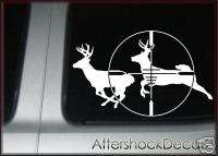 Whitetail Deer Sticker Decal scoped rifle buck  