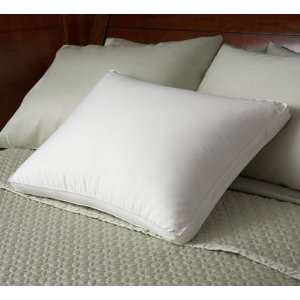   Sateen Synthetic Fill Gusseted Pillow 