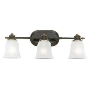 Sea Gull Lighting 46010 782 3 Light Adjustable Wall/Ceiling Fixture 
