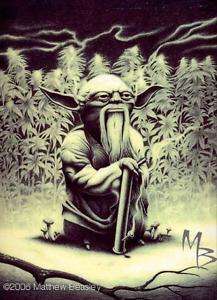 Red Eyed Master YODA satire funny marijuana pot art  