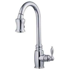  Danze D454557 Kitchen Faucet