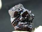 CUPRITE + SILVER CRYSTAL RUSSIA NEW FIND 132 CARAT   NEW TUCSON 2012 