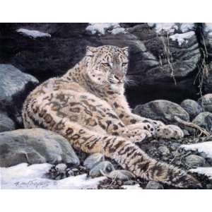  Awake   Snow Leopard By Alan Sakhavarz Highest Quality Art 