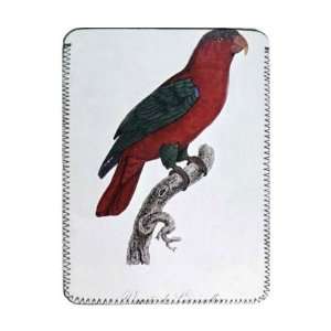  Parrot Lory or Collared by Jacques   iPad Cover 