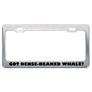 Got Dense Beaked Whale? Animals Pets Metal License Plate Frame Holder 