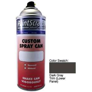 12.5 Oz. Spray Can of Dark Gray Trim (Lower Panel) Touch Up Paint for 