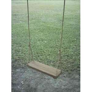    Stained ACQ Tree Swing with Natural Manila Rope Toys & Games