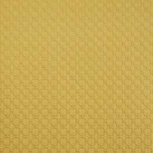  3454 Brice in Golden by Pindler Fabric