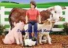 Breyer CL World Equestrian Games Reining Horse & Rider Gift Set #9127 