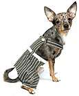 NEW Dog Pet Clothes Jeans Pants PAINTERS OVERALLS MED