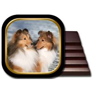  Shetland Sheepdog Coaster Set