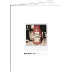   Polaroid Hotel (Polaroid Hotel) (9780615450391) Patrick Hoelck Books